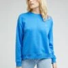 Lee Crew Sws - Sweatshirt - Ferris -Lee Boutique 10ef80bd604e400a8e19772d1d95e594